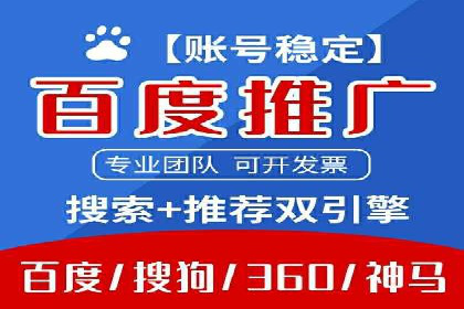 提升转化率：SEM竞价专员的案例研究
